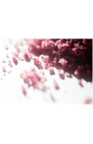 Fleur de Sel mit Hibiskusblüte Körnungsansicht