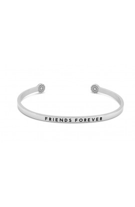 Simple Pledge FRIENDS FOREVER - Silber